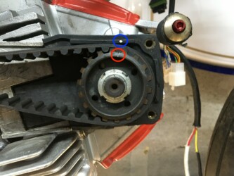 courroies ducati