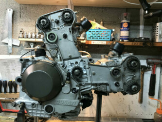 courroies ducati 916